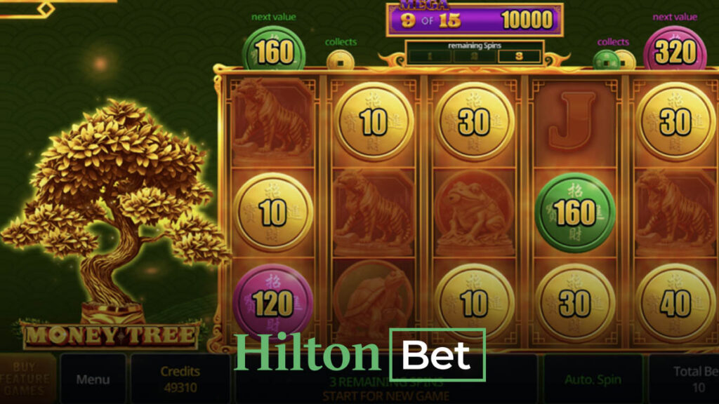 Hiltonbet 40 Money Tree